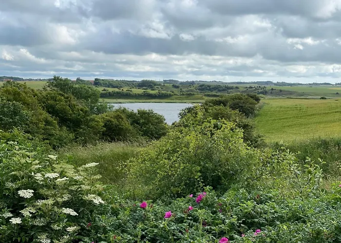 別荘 Aeldre Max 4 Voksne Og 4 Born